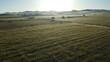 grüne Felder und Wiesen im Licht Morgenstimmung
im Hintergrund Berge am Horizont 
Landschaft aus der Vogelperspektive bei Tagesanbruch im Sommer