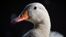 Close Up Portrait Of Goose Generative Ai