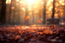 Autumn Background. As Warm Sunlight Filters Through The Leaves, It Casts A Golden Glow, Illuminating The Rich Hues Of Red, Orange, And Yellow In A Breathtaking Display Of Nature's Artistry.