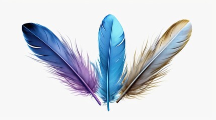 Poster - blue and white feathers