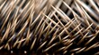 A closeup of a hedgehog's spines