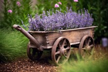 Rustic Charm Wooden Wheelbarrow With Fragrant Lavender Blooms. AI