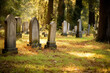 A cemetery with tombstones and trees by sunset,