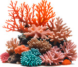Fototapeta Do akwarium - coral reef isolated PNG on transparent background cutout, generative ai