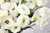 Fototapeta Tulipany - 흰색 꽃다발 릴리안셔스 