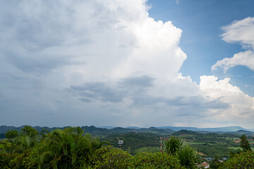 Wall Mural - clouds over the forest