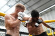 © FotoArtist - Two professional boxers fighting at the gym