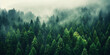 © AngrySun - Misty landscape with fir forest in vintage retro style. Generative AI