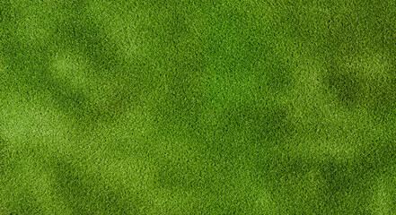 Poster - Top view grass field, hight quality grass fields, 3d illustration rendering
