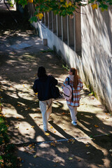 Wall Mural - Two female teenagers walking