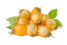 Cape Gooseberry Fruit , Isolated On Transparent Background, PNG