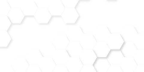 Background with hexagons . Abstract background with lines . white texture background . white and hexagon abstract background. white paper texture and futuristic business .	