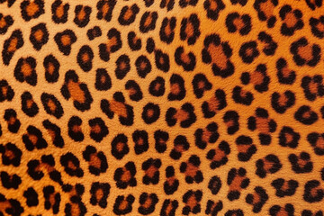 versatile animal print. imitation of realistic animal fur texture.