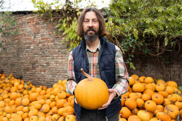Poster - Bearded farmer with pumpkin on a background of a pile of pumpkins.