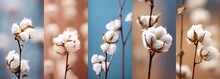 Cotton Branch Vertical Background Collection Set, Generative Ai