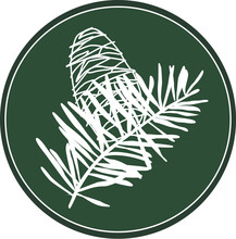 White Fir Logo On A Dark Green Background. Celtic Tree In A Circle For Eco And Bio Design. Vector Natural Plant Element