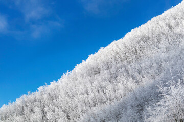 Tuscan Apennines covered with snow covered