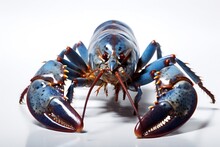 Blue Lobster On White Background Generative AI