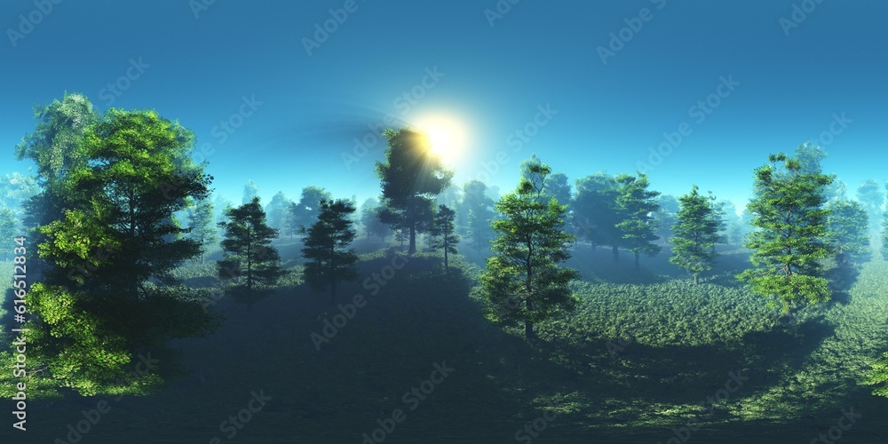 Ilustração Trees in the fog. Environment map. HDRI map. equidistant ...