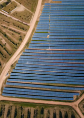 Wall Mural - solar panels plant, aerial view - rows of photovoltaic cell collectors on a landscape. green energy 
