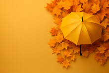 Yellow Autumn Leaves With Umbrella Autumn Colors 