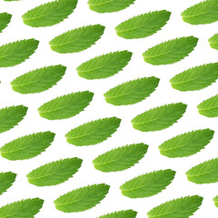 Wall Mural - Seamless pattern of green mint leaves