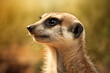 meerkat on the lookout, generative ai