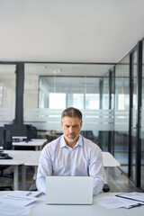 Mature adult professional business man manager using computer in office. Businessman executive of mid age sitting at desk working on laptop laptop technology looking at pc managing finance data.