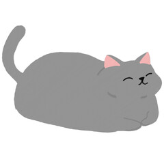  Sleepy fat gray cat