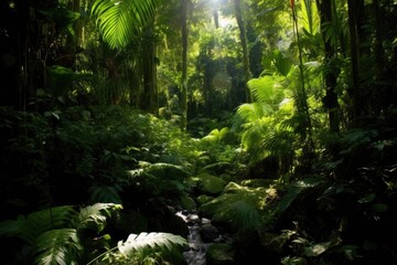  a stream in a forest