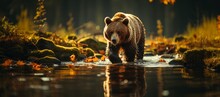 Bear Walking Down Stream Created With Generative AI Technology, Ai, Generative