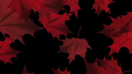 red maple leaves - windy flying loop - flying animation of red maple leaves