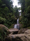 Fototapeta Natura - waterfall in the forest