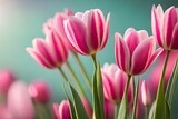 Fototapeta Tulipany - flowers on pink background generativeAI