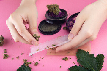 Wall Mural - Female hands twist a joint from dry buds of medical marijuana on a pink background.  Green leaves of cannabis lie nearby and the grinder is opened, pieces of weeds are around