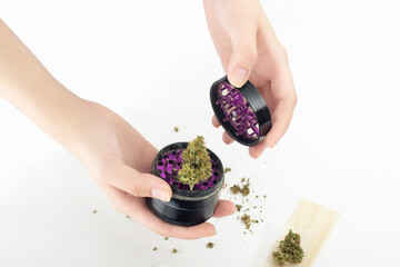 Wall Mural - In female hands, a grinder with a dry bud of medical marijuana.  Pieces of cannabis are scattered on a white background, next to the paper for the joint