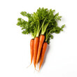 Fresh carrots on a white background
