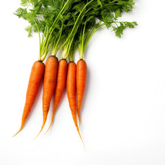 Wall Mural - Fresh carrots on a white background
