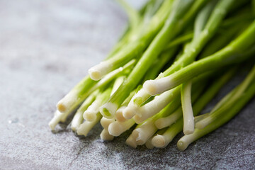 Sticker - bunch of green onions, scallion 