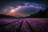 Fototapeta  - lavender field at dusk AI GENERATED