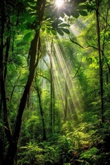 Canvas Print - lush green forest canopy with sunlight streaming through, created with generative ai