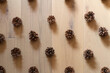 rows of pine cones aligned over light oak wooden background