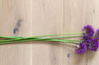 copy space banner for celebrating gift of nature with flowers
