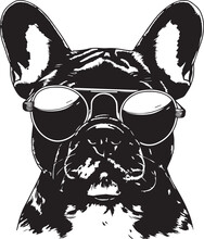 French Bulldog Face Dog In A Sun Glasses Vector Illustration, SVG