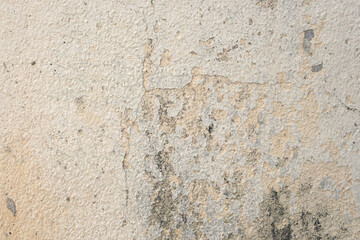 Canvas Print - Old cement wall background, faded color