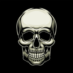Wall Mural - skull vector logo and illustration