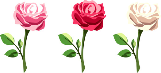 Wall Mural - Rose flowers with stems isolated on a white background. Set of red, pink, and white roses. Vector illustrations