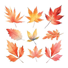 Wall Mural - Beautiful autumn leaves watercolor, great design for any purposes.