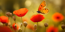  A Red Poppy In A Field With A Butterfly Flying Over It. Beautiful Red Poppy Flowers And Monarch Butterfly In Spring Summer  Ai Generated 