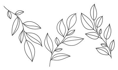 Wall Mural - Set line art twigs with leaves. Outline hand drawn leaf